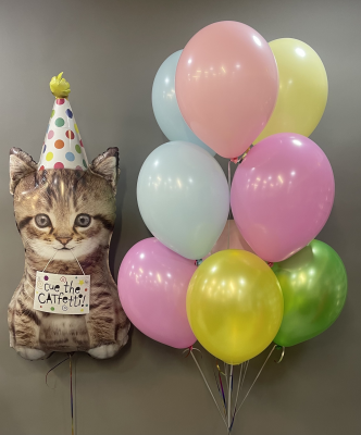 Связка и котик