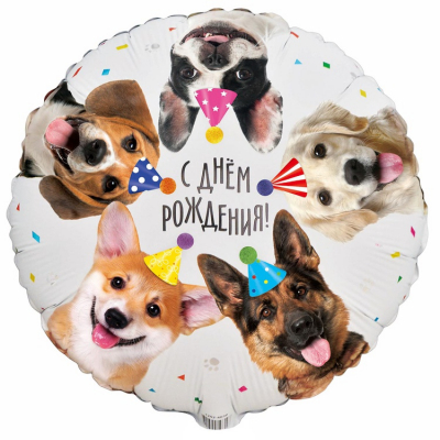 Шар собачки