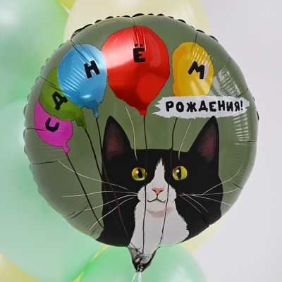 Шар С ДР кот